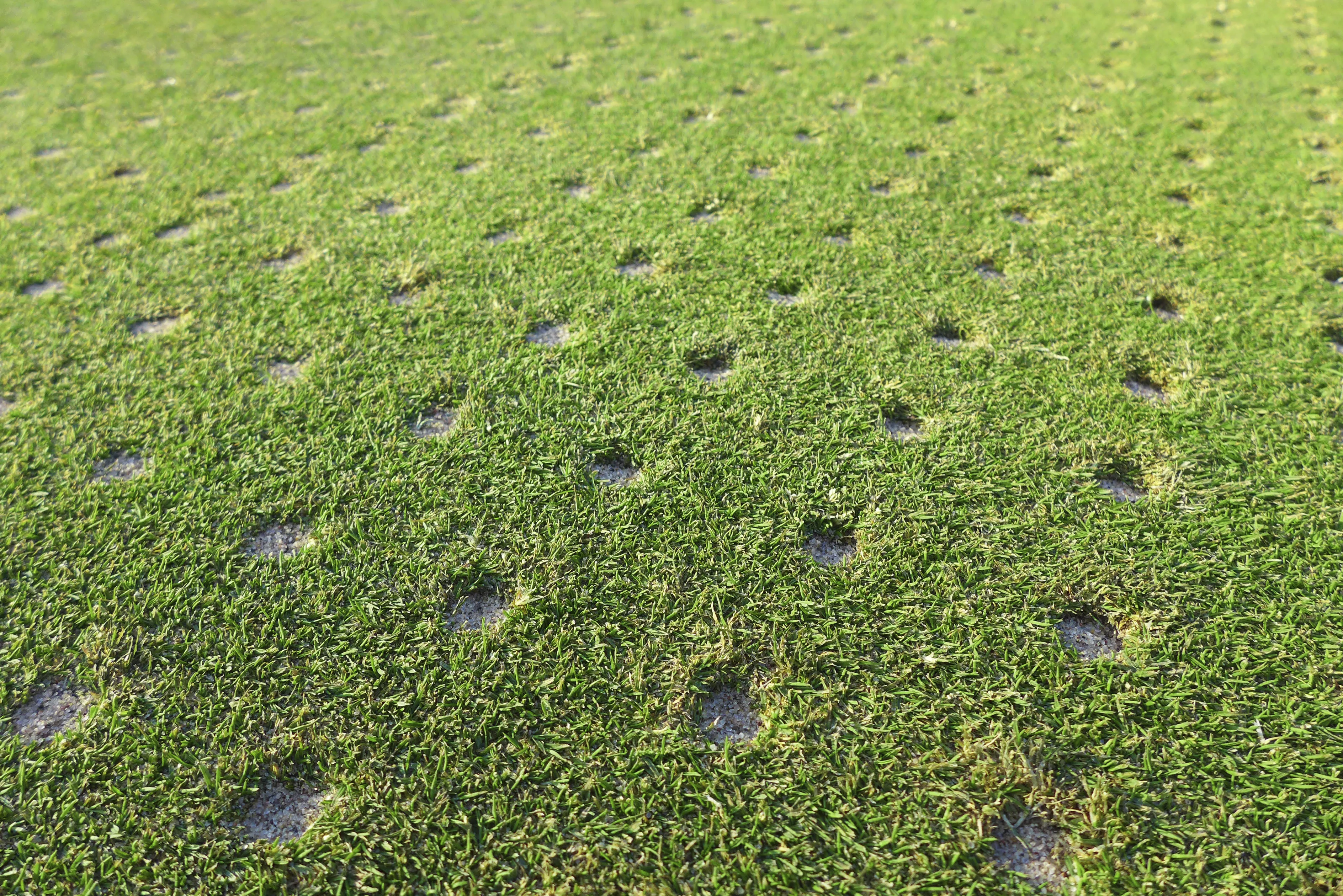 Aerating lawn in the outlet fall